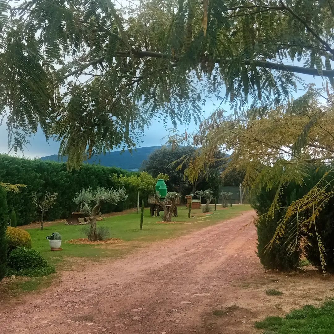 Casa Rural Los Pájaros - Exterior