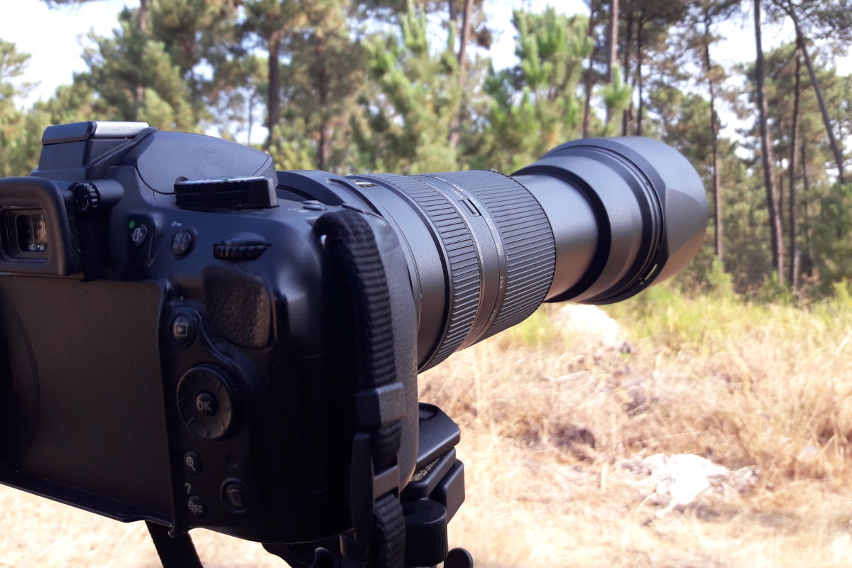 Digiscoping en Toledo, Casa Rural Toledo