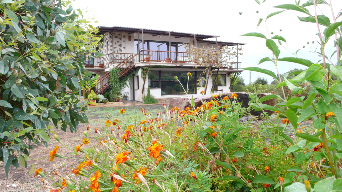 Casa Rural Los Pájaros - Montes de Toledo