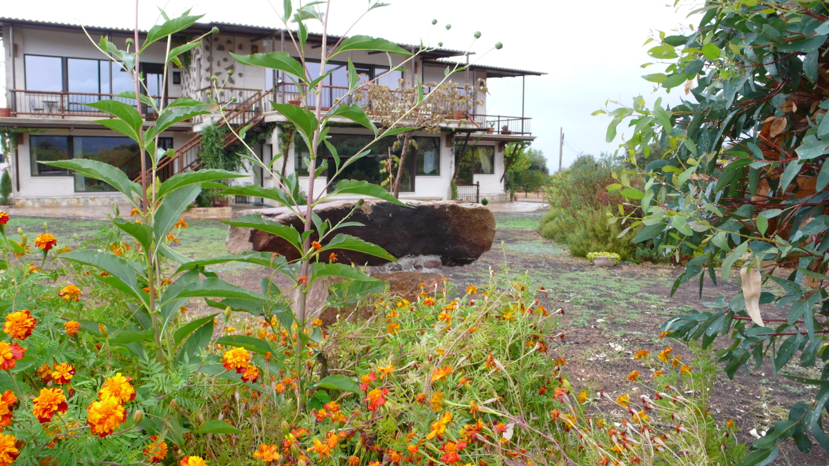 Casa Rural Los Pájaros - Montes de Toledo