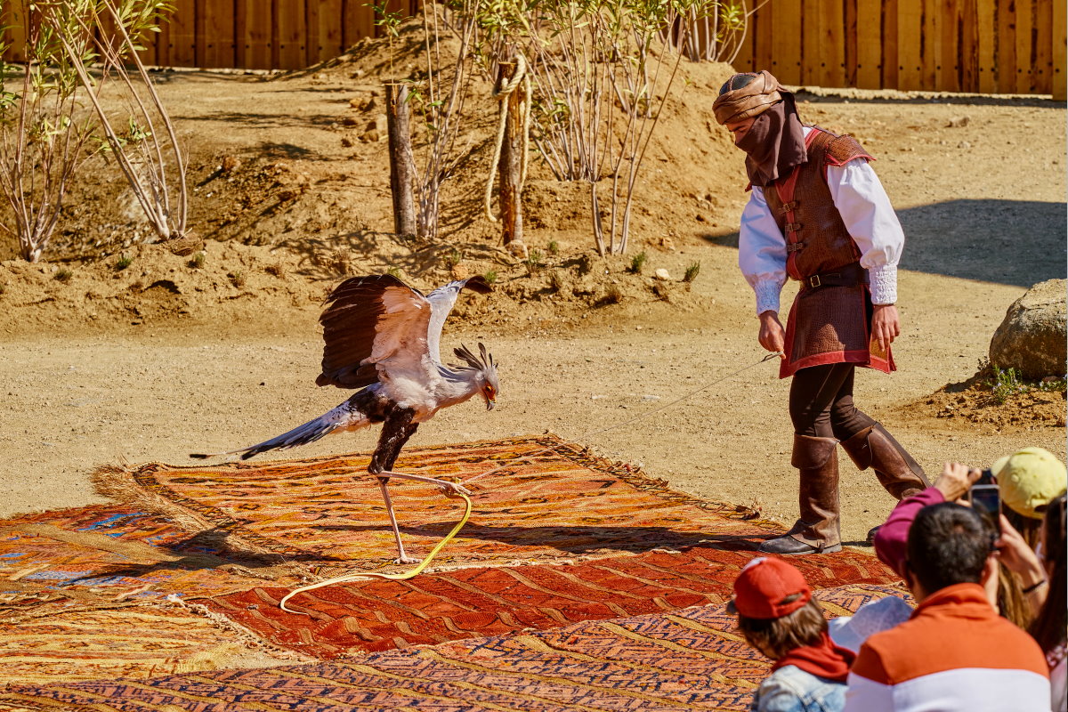 Cetrería de Reyes Puy du Fou - Casa Rural los Pájaros