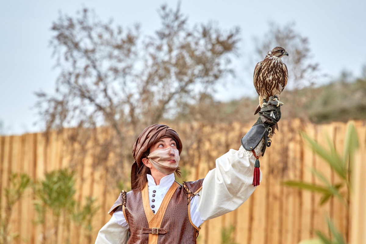 Cetrería de Reyes Puy du Fou - Casa Rural los Pájaros