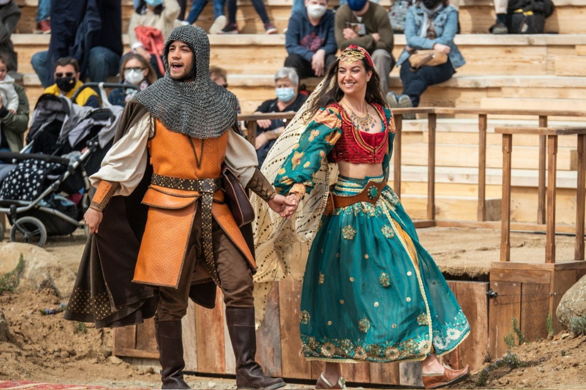 Cetrería de Reyes Puy du Fou - Casa Rural los Pájaros