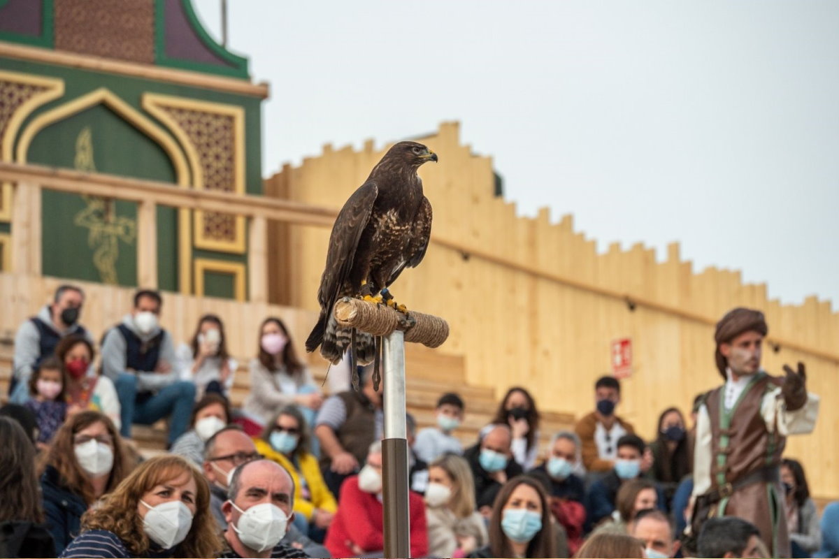 Cetrería de Reyes Puy du Fou - Casa Rural los Pájaros