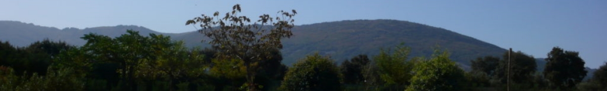 El exterior - Casa Rural Finca los Pájaros