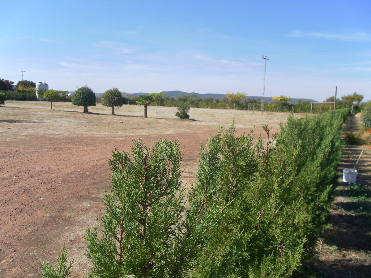 Casa Rural Los Pájaros - Exterior