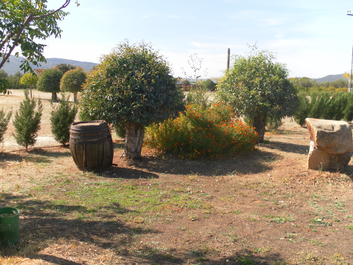 Casa Rural Los Pájaros - Exterior