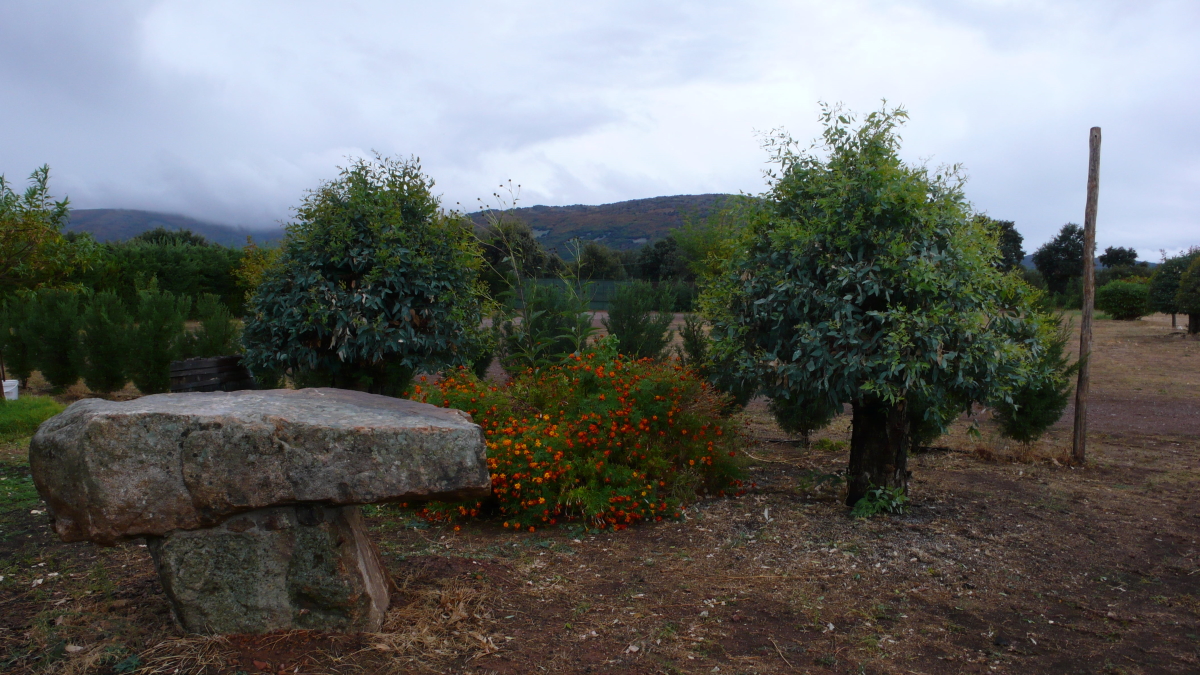 Exterior Casa Rural Los Pájaros Montes de Toledo